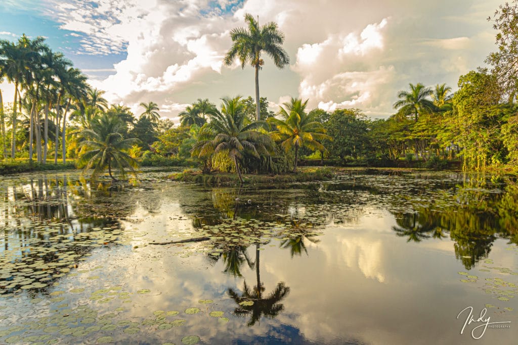 Criadero de Crocodilos de Guamá - Cuba