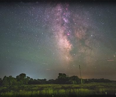 Article Time Lapse